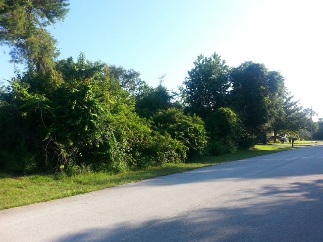 49 Forsythe Ln, Palm Coast, FL 32137