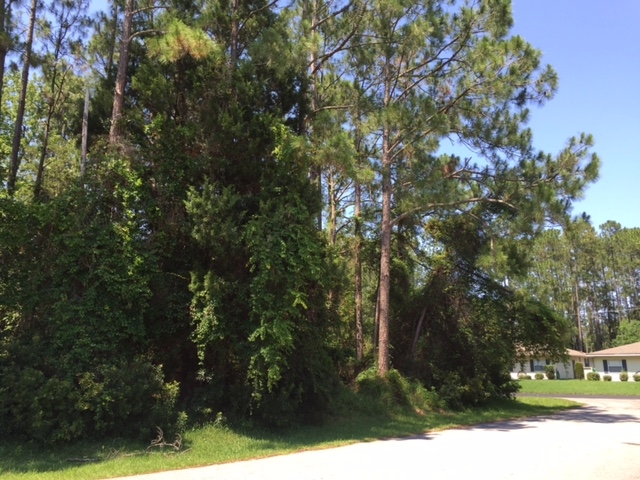 314 Beachway Dr, Palm Coast, FL 32137