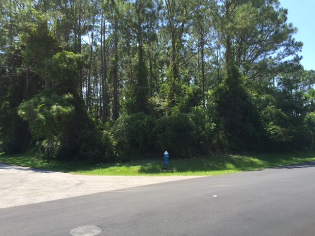314 Beachway Dr, Palm Coast, FL 32137