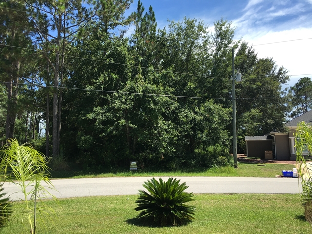 14 Leidel Dr, Palm Coast, FL 32137
