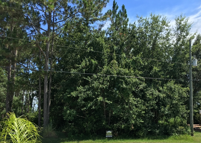 14 Leidel Dr, Palm Coast, FL 32137