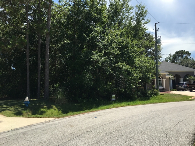 14 Leidel Dr, Palm Coast, FL 32137
