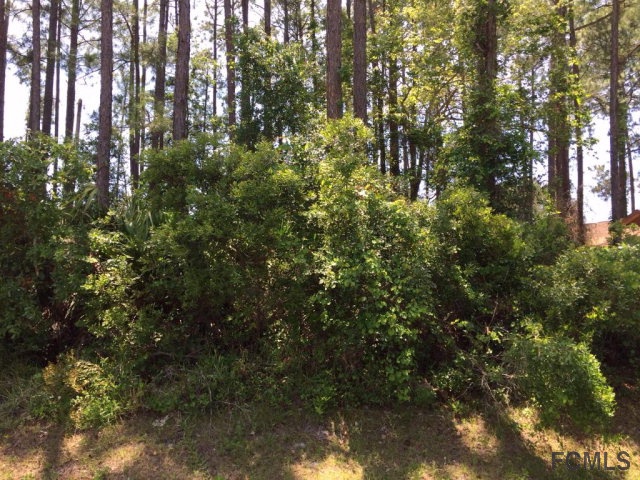 19 Botany Lane, Palm Coast, FL 32137
