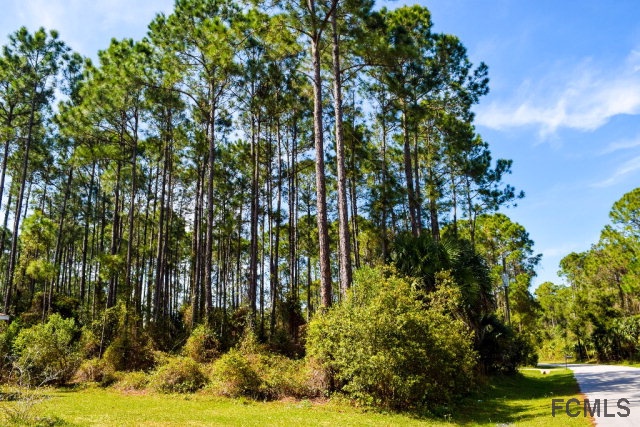 14 Farnell Lane, Palm Coast, FL 32137
