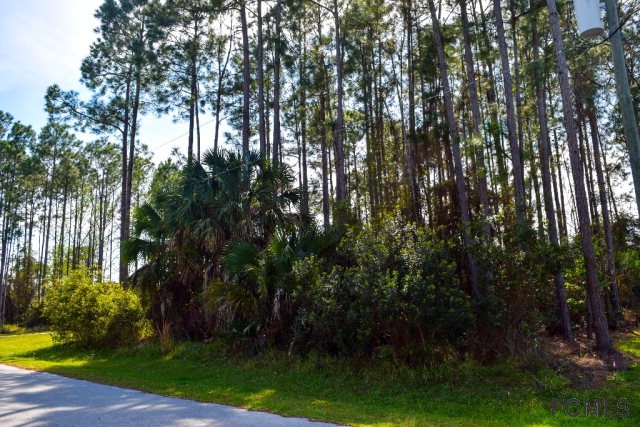14 Farnell Lane, Palm Coast, FL 32137