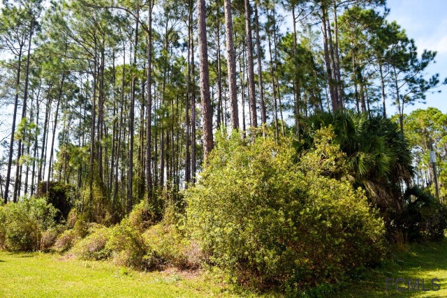 14 Farnell Lane, Palm Coast, FL 32137
