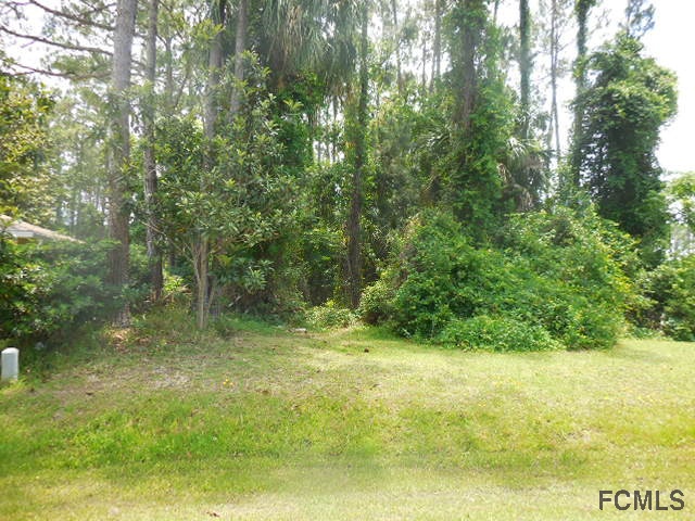 50 Bannerwood Ln, Palm Coast, FL 32137