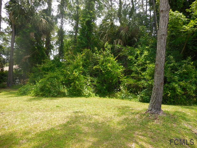 50 Bannerwood Ln, Palm Coast, FL 32137