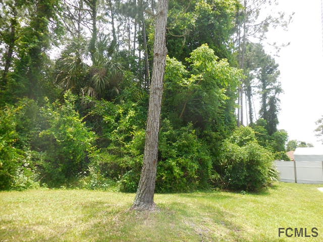 50 Bannerwood Ln, Palm Coast, FL 32137