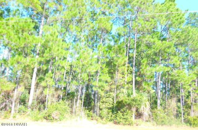 47 BOTANY Lane, Palm Coast, FL 32137