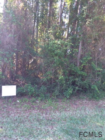 105 West Foster Lane, Palm Coast, FL 32137