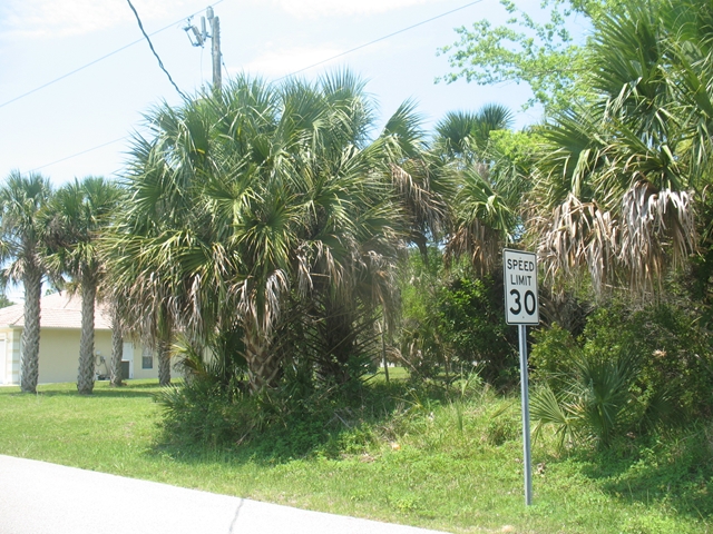 74 N Coral Reef Ct N, Palm Coast, FL 32137