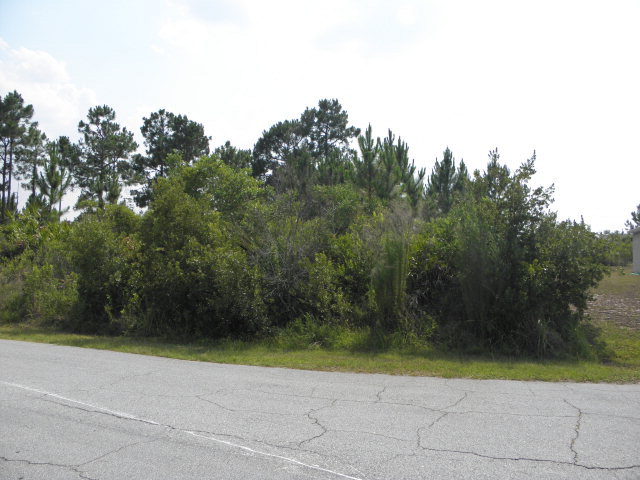 43 Covington Lane, Palm Coast, FL 32137
