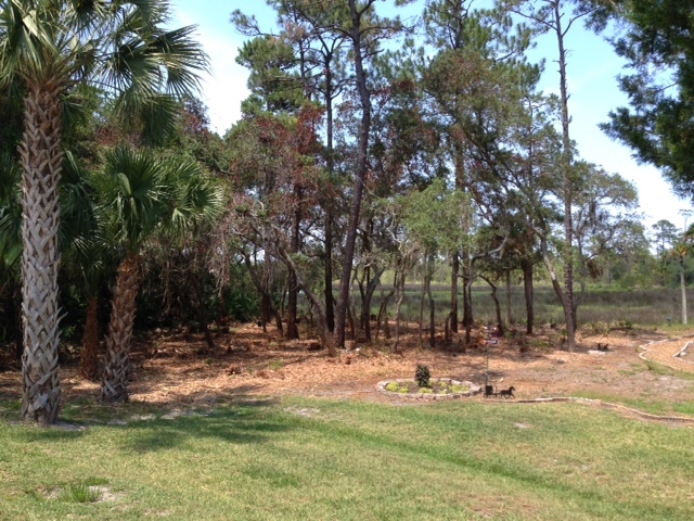 66 Colechester Lane, Palm Coast, FL 32137