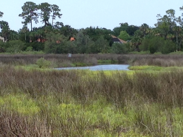 66 Colechester Lane, Palm Coast, FL 32137