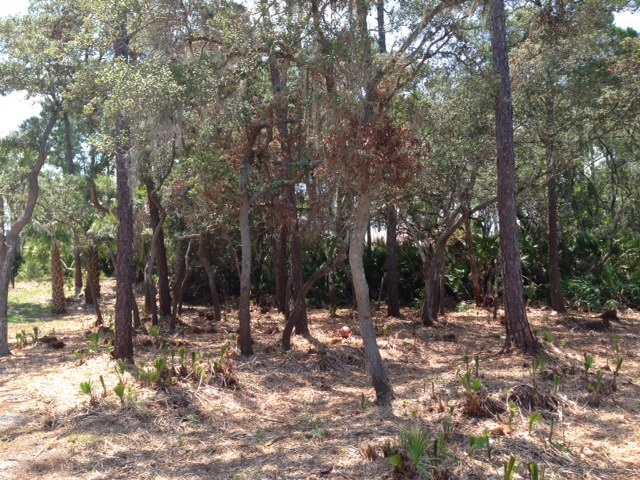66 Colechester Lane, Palm Coast, FL 32137