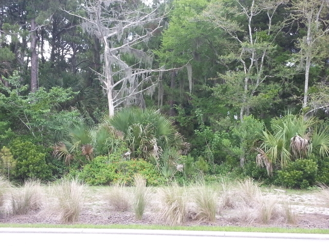 188 Heron Dr, Palm Coast, FL 32137