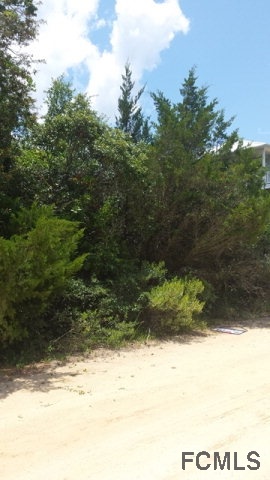 36 Moody Dr, Palm Coast, FL 32137