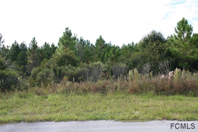 25 Railside Way, Palm Coast, FL 32137