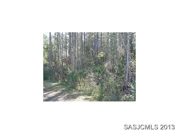 831 PARADISE BLVD, Crescent City, FL 32139