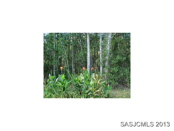 831 PARADISE BLVD, Crescent City, FL 32139