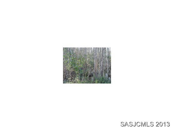 831 PARADISE BLVD, Crescent City, FL 32139