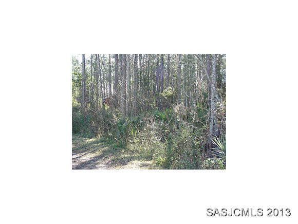 831 PARADISE BLVD, Crescent City, FL 32139