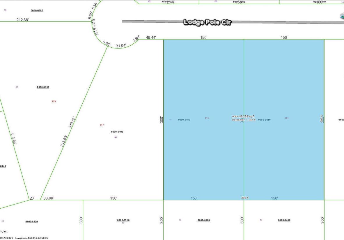 113 Lodge Pole Cir, Georgetown, FL 32139