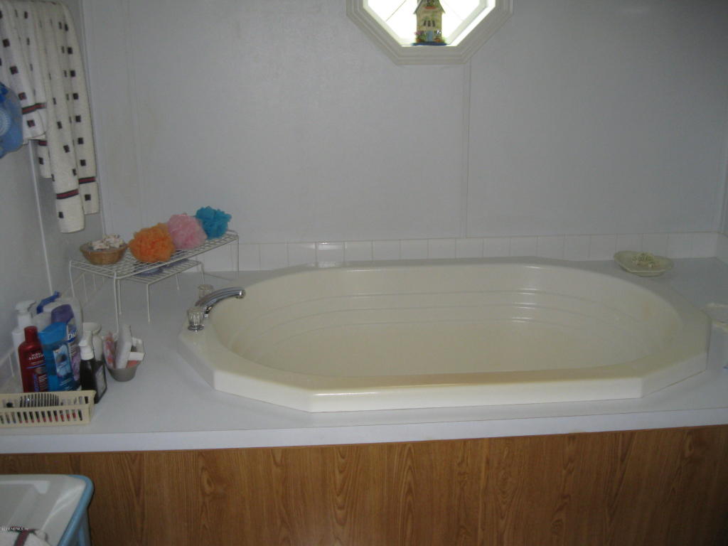 119 INDIAN TRL, Florahome, FL 32140