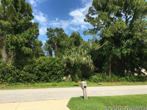 0 PINE TREE DR, Edgewater, FL 32141