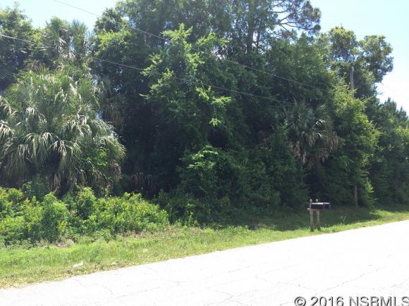 0 India Palm Dr, Edgewater, FL 32141