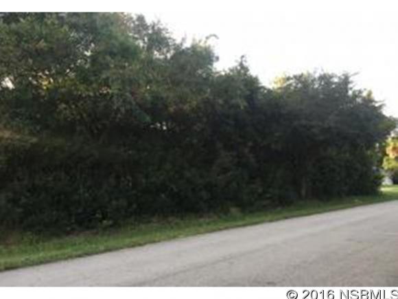 0India Palm Dr, Edgewater, FL 32141
