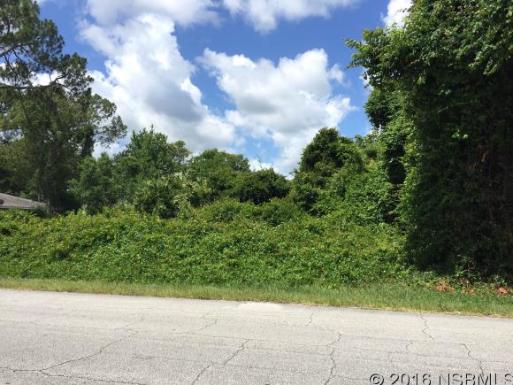 0 India Palm Dr, Edgewater, FL 32141