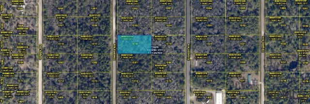 10520 Flikkema Avenue, Hastings, FL 32145