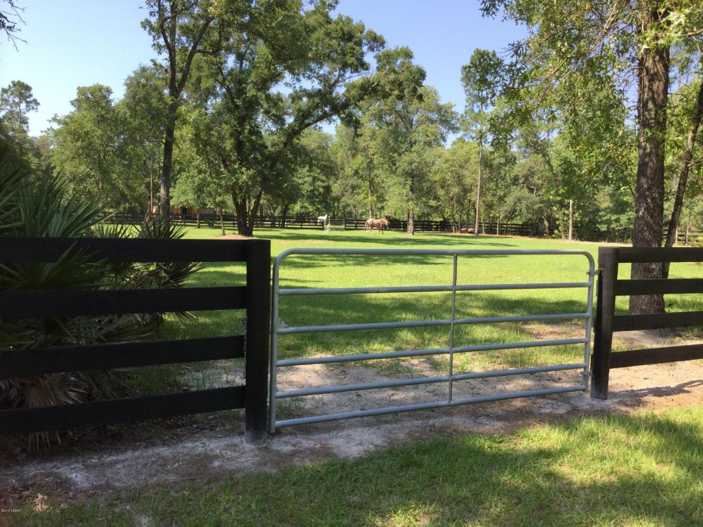 230 DARK HORSE, Hastings, FL 32145