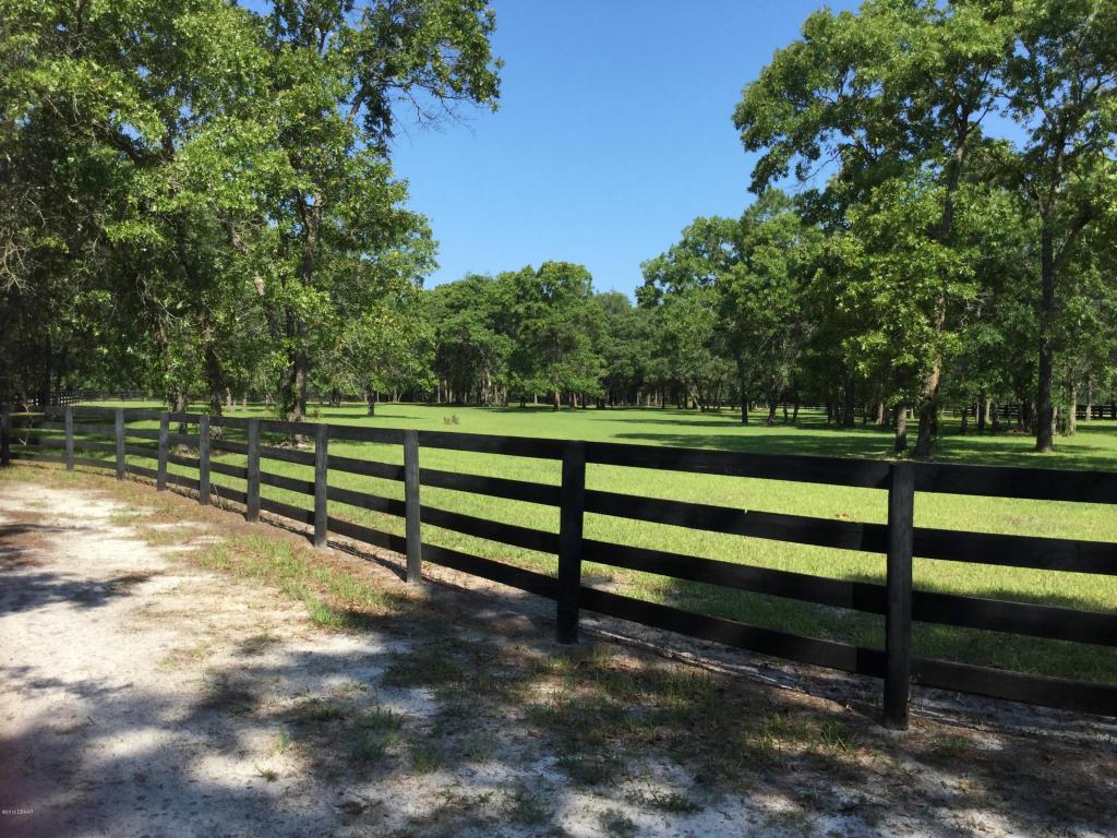 230 DARK HORSE, Hastings, FL 32145