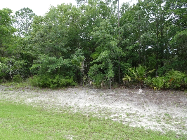 140-141 Dancing HorseDr, Hastings, FL 32145