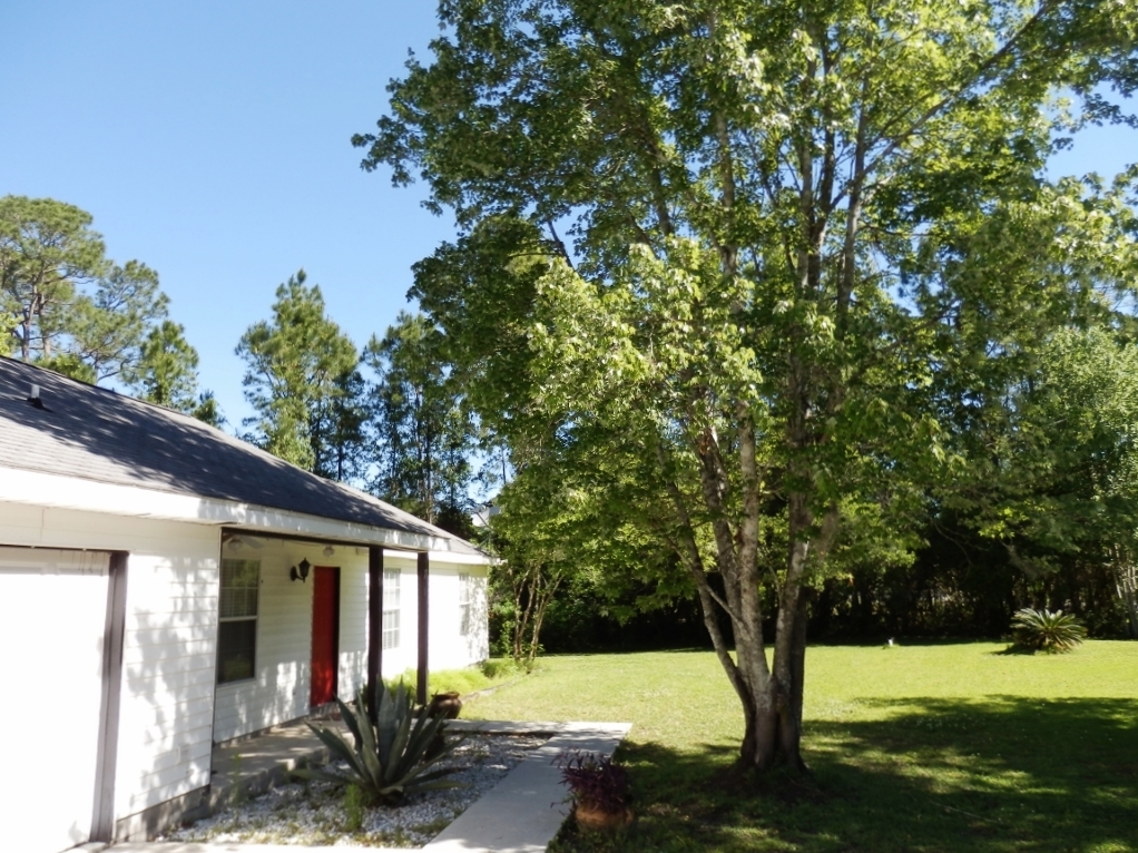 7949 Washington Ave, Hastings, FL 32145