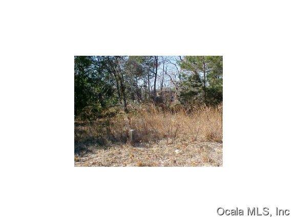 00 Wilson Drive, Interlachen, FL 32148