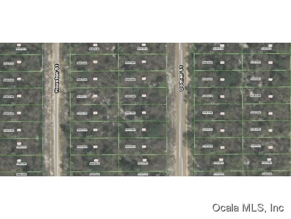 00 Dothan Street, Interlachen, FL 32148