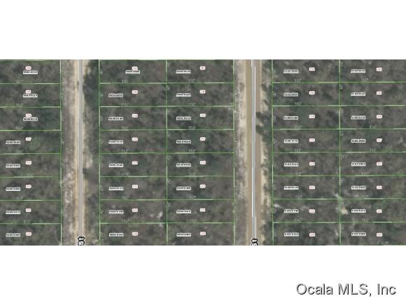 00 Dothan Street, Interlachen, FL 32148