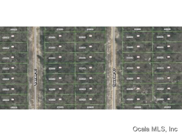 00 Houston Street, Interlachen, FL 32148
