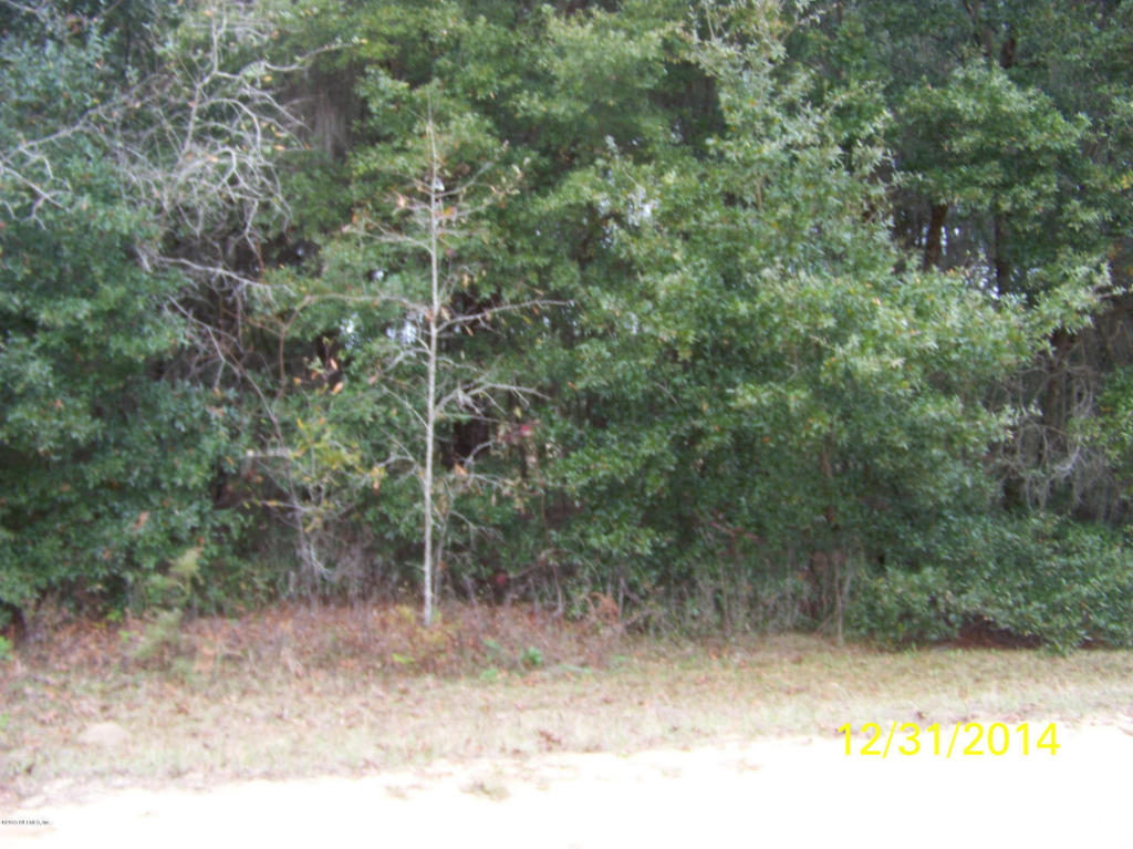 409 GUY AVE, Interlachen, FL 32148