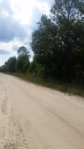 0 THOMPSON Avenue, Interlachen, FL 32148