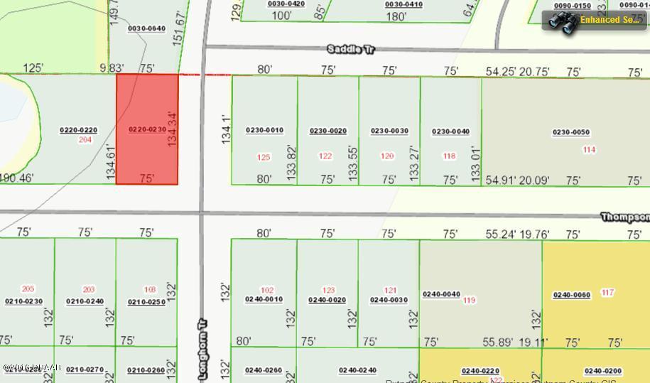 0 THOMPSON Avenue, Interlachen, FL 32148