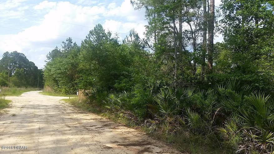 103 LONGHORN Trail, Interlachen, FL 32148