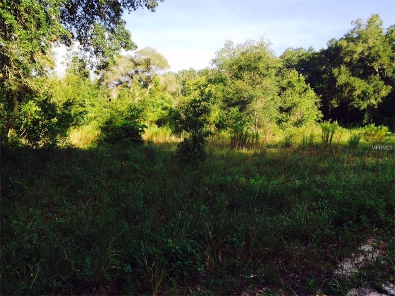 FREDERICK STREET, Interlachen, FL 32148