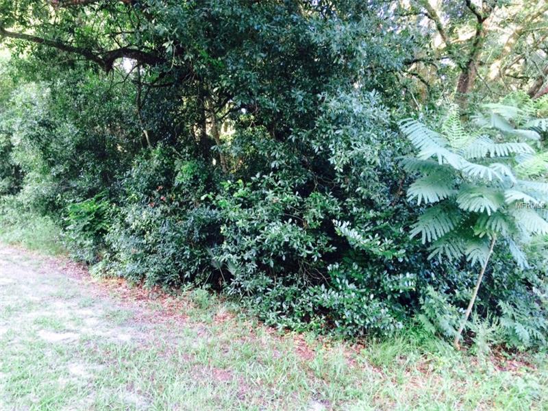 FREDERICK STREET, Interlachen, FL 32148