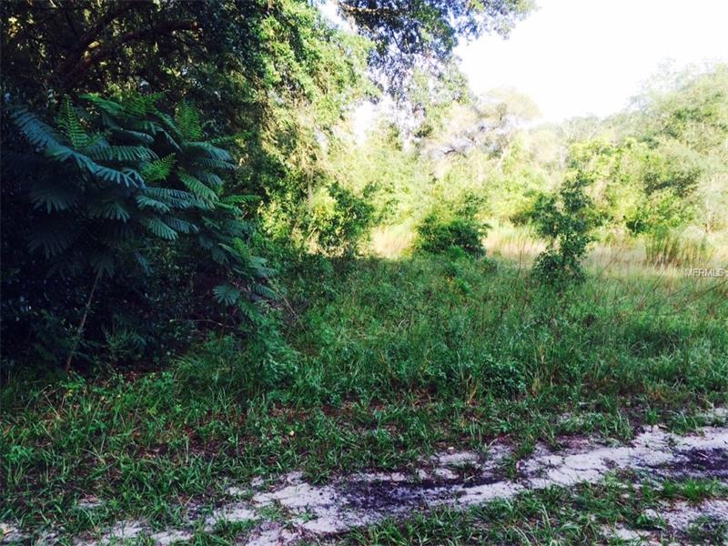 FREDERICK STREET, Interlachen, FL 32148