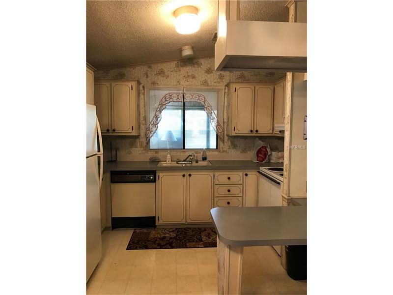 1541 W SCHWARTZ BOULEVARD, The Villages, FL 32159